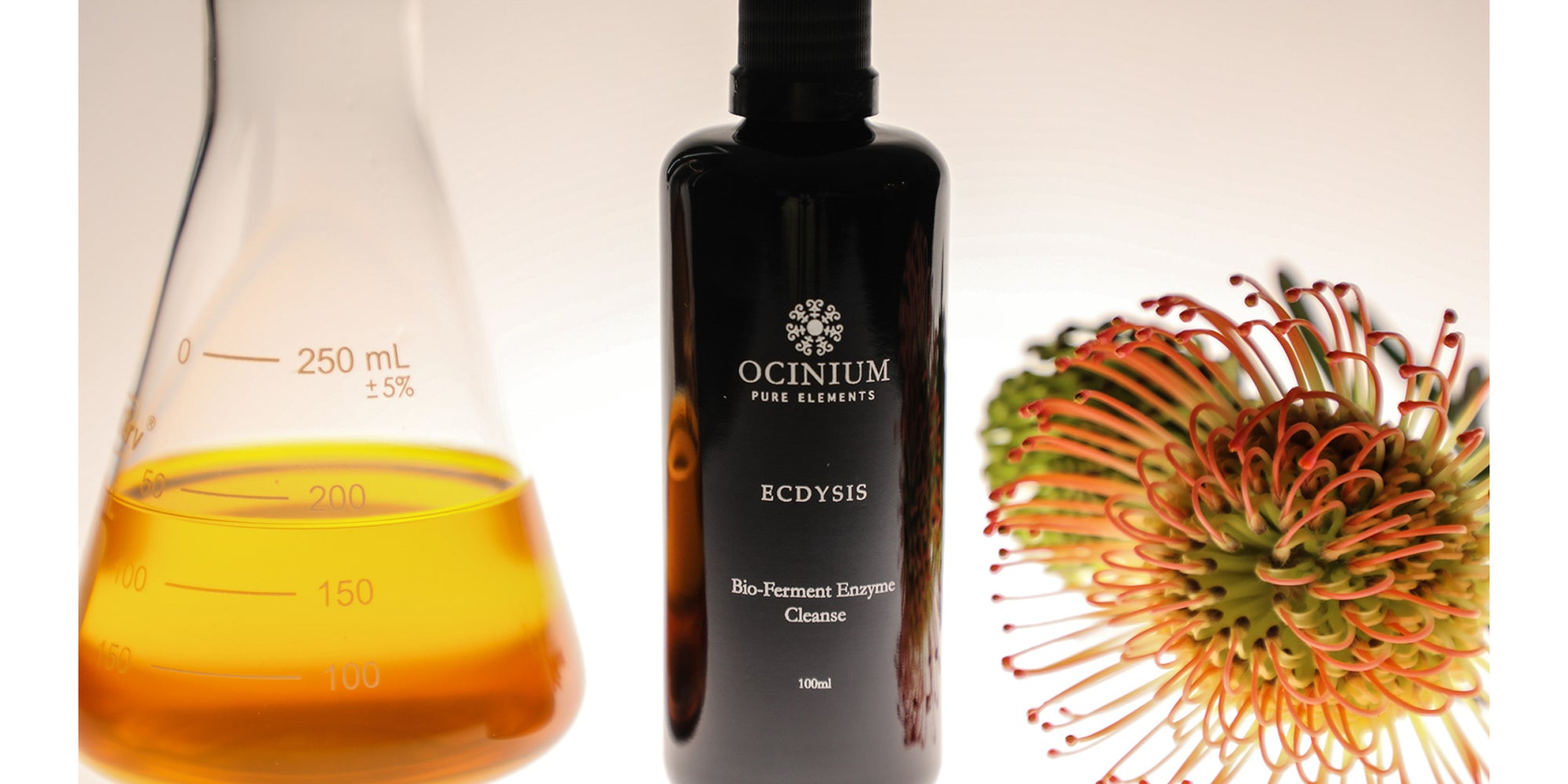 The benefits of fermented skincare