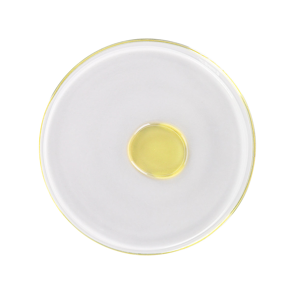 Green Tea + Ginseng Facial Oil
