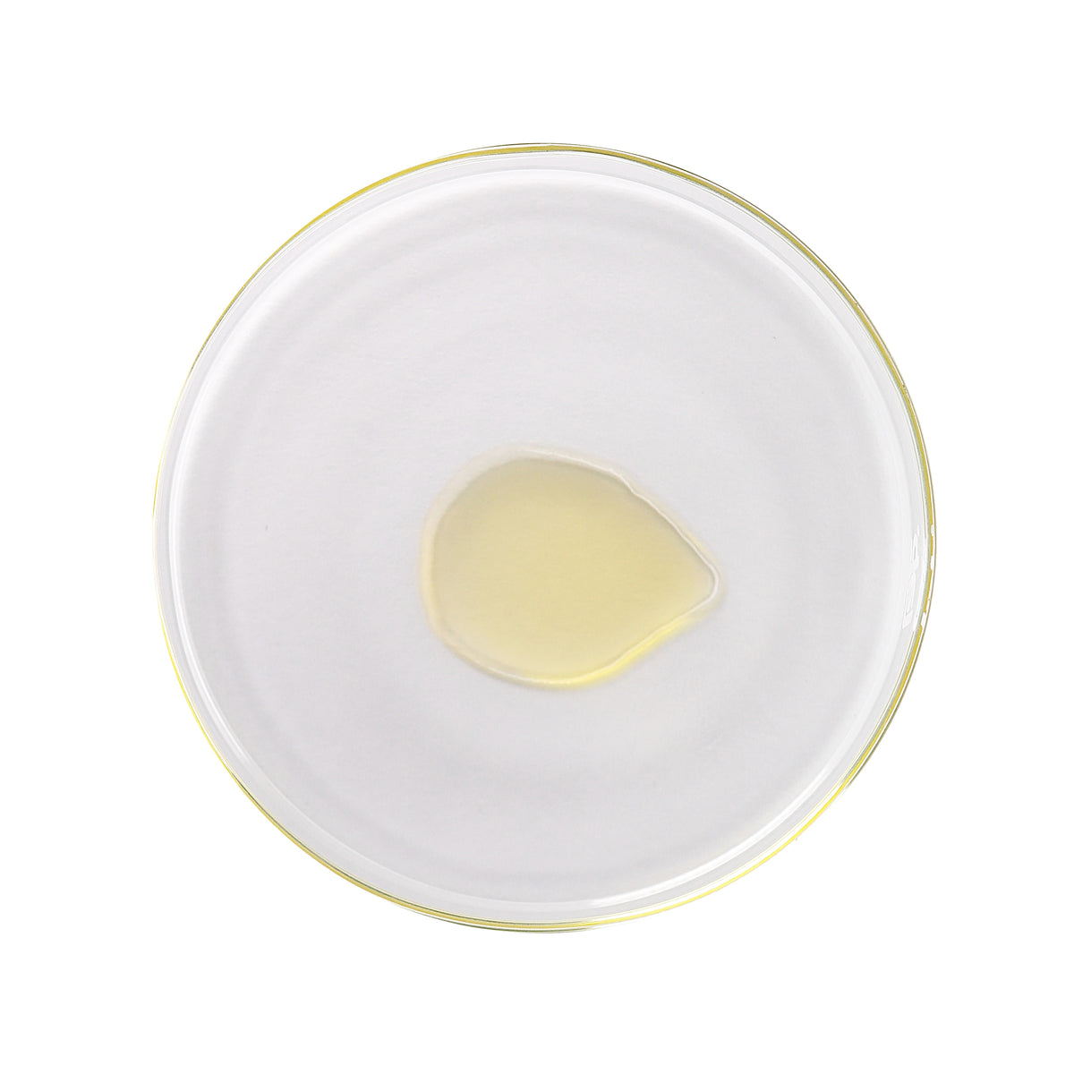 Papaya + Pomegranate Facial Oil