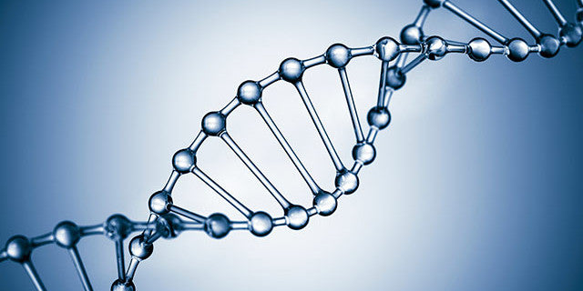 Using DNA Science for Skin Wellness and Ageing
